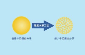 不要只看抗过敏奶粉排行榜10强，植物蛋白奶粉也不错
